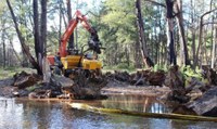 Araluen Creek Restoration Project - Remediation Strategies