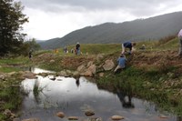 Araluen Creek Restoration Project - Timeline