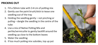 Christmas Update: Southern Tablelands Tree Start Growers Network