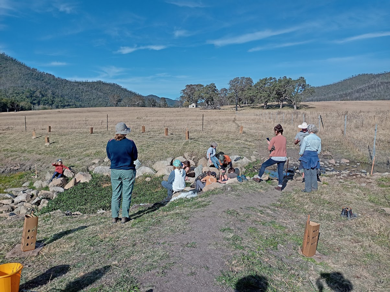 Community Tree Plantings help wrap up the Araluen Creek Restoration Project