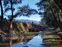 Araluen Creek Restoration Project - Facts