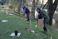 Araluen Creek Restoration Project - Upper Shoalhaven Landcare Council Project Support Staff