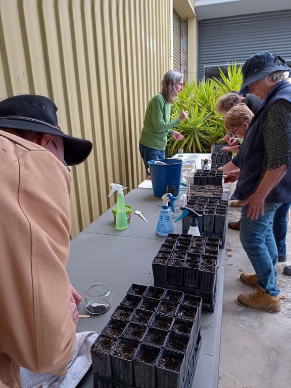 Learning the Art of Native Seed Collection and Propagation with Lyn Ellis