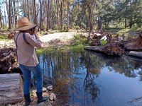 Who’s Who on the Araluen Creek Restoration Project