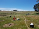 Fullerton Hadley Landcare planting trees with Conservation Volunteers Australia