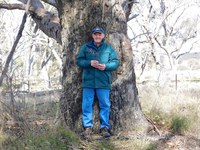 Landcare Member Reunited with Their Tree