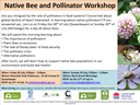 Native Bee & Pollinator workshop