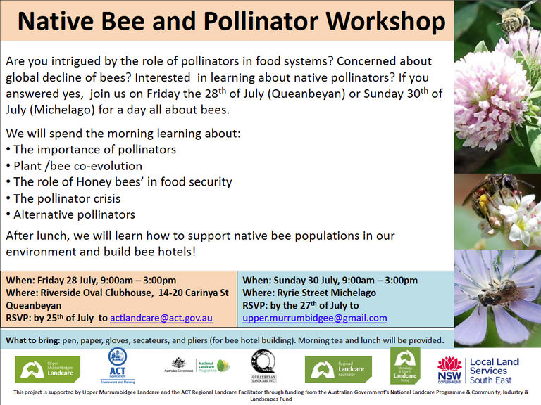 Native Bee & Pollinator workshop