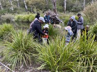 A marathon of Aboriginal plant use workshops for Braidwood school groups
