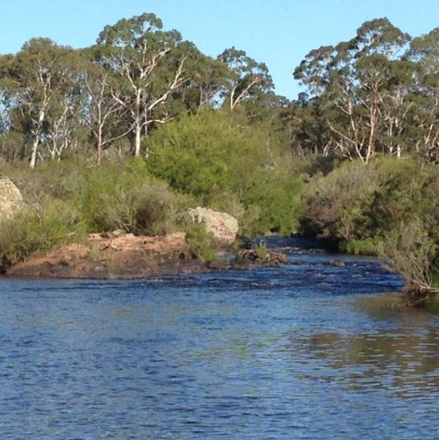 Upper shoalhaven.jpeg