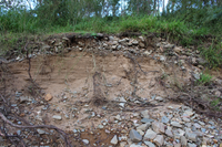 Araluen Creek Restoration Project