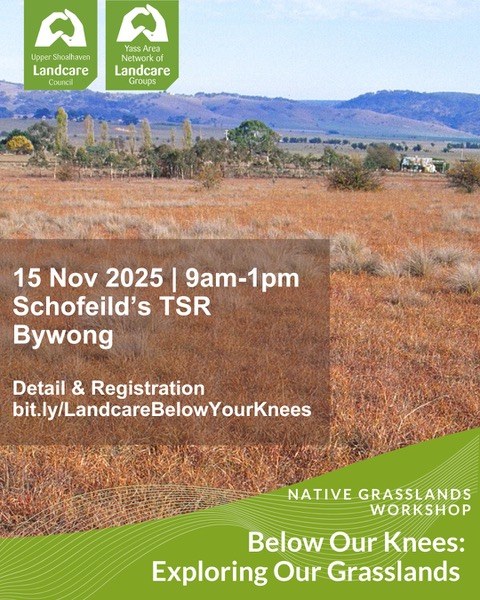 Below Our Knees: Exploring Our Grasslands