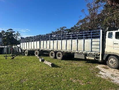 Cattle Truck Colleting Stanways.jpg