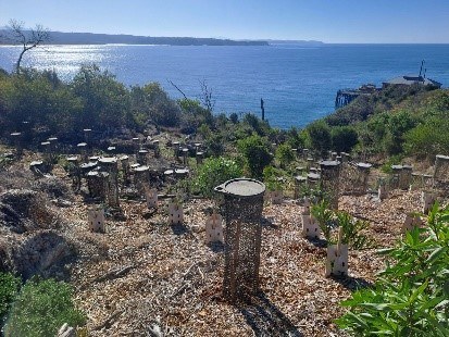 Far South Coast Landcare Planting with Stanway Guards.jpg