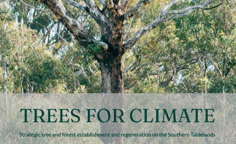 New Trees for Climate Website By Bungendore Landcare