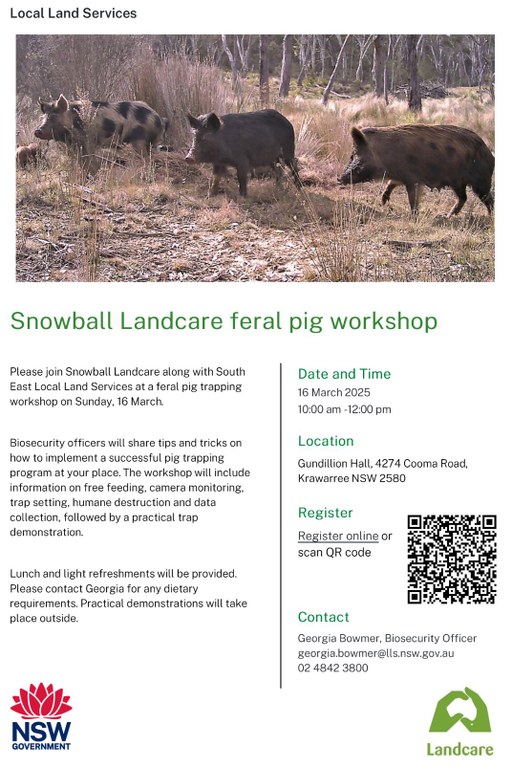 Snowball Landcare Feral Pig Workshop