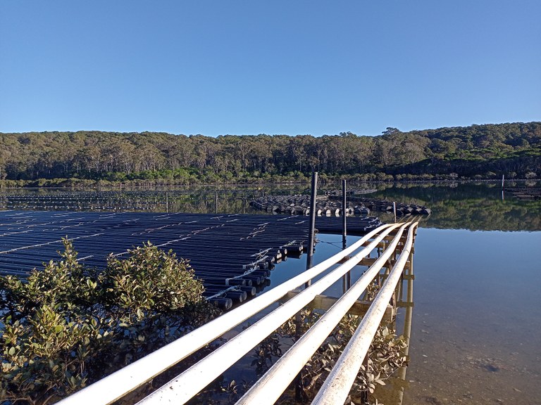 Tathra Oyster Farm.jpg