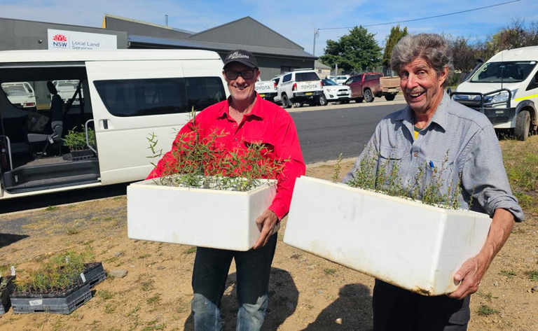The Southern Tablelands Tree Start Growers Network Kicks Off for it’s Second Year