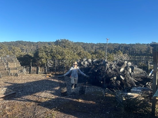 USLC Coordinator Erin Shifting Stanways at the Oyster Farm.jpg