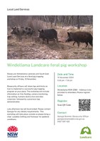 Windellama Landcare feral pig workshop