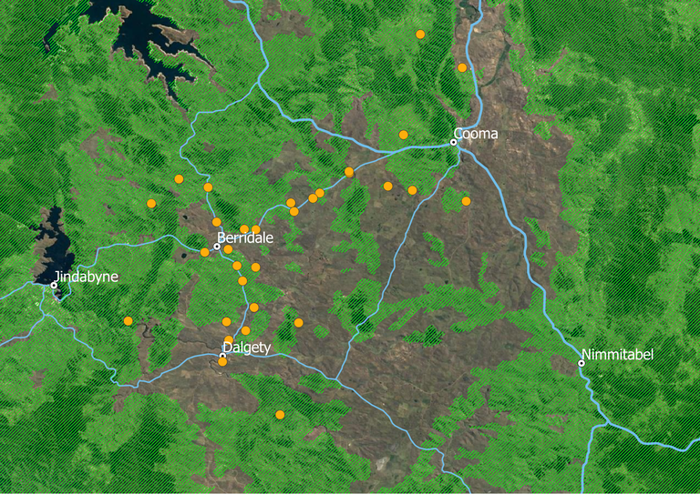 Five years of tackling Monaro dieback - where are we in 2021?