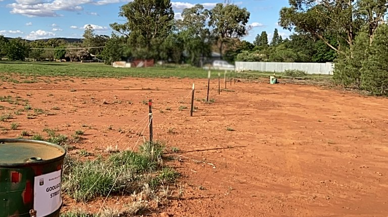 Goolgowi Street towards the Middle