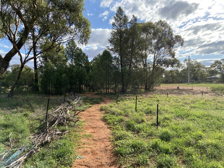 Willandra Gate towards the Middle