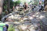 Comenarra Creek Restoration Project Revisit