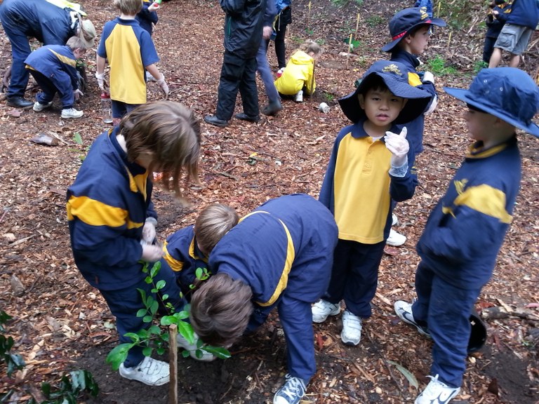 Over 80 students, over 150 plants.