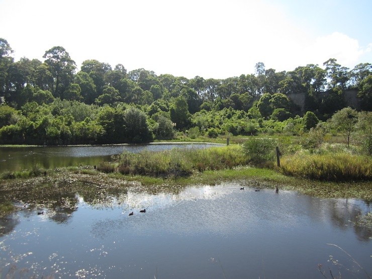 7069_Brickworks-Pond.jpg