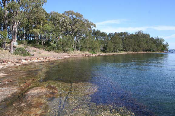 wangi point.png