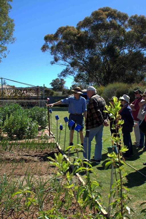 Explore the gardens of our region