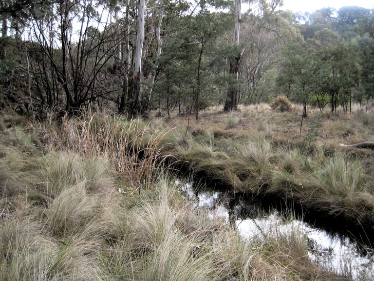 Healthy waterways lead to healthy farms