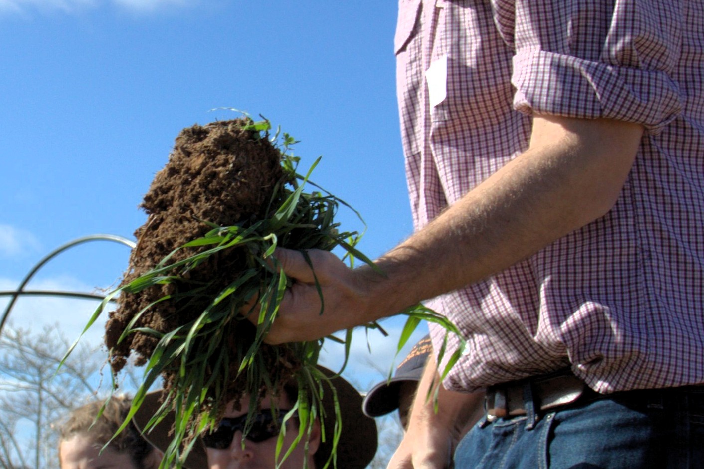 Improve Your Soil Health — NSW Landcare Gateway