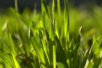 Pasture management field day reschedule