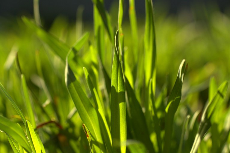 Pasture management field day reschedule