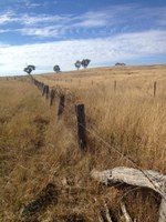 Sectors unite for land health