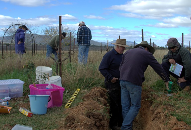 Want to improve the health of your soils?