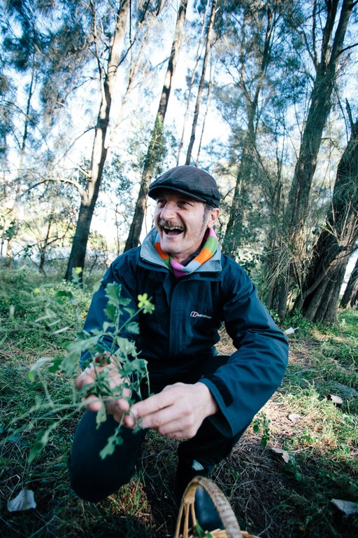 Weeds, wild food and medicinal plants