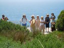 Waverley Bushcare tour