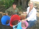 Seed Collecting