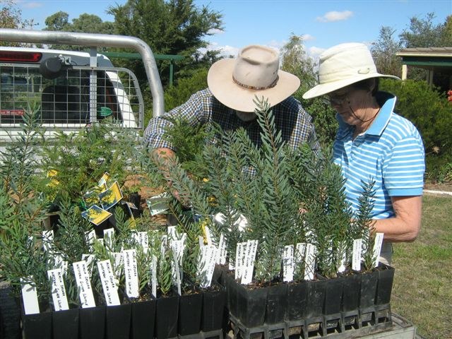 Voluteers working at the nursery