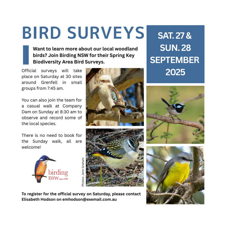 Bird Surveys