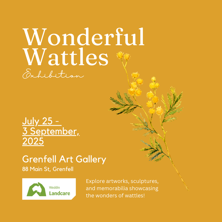 Wonderful Wattle Exhibition Wonderful Wattle Exhibition