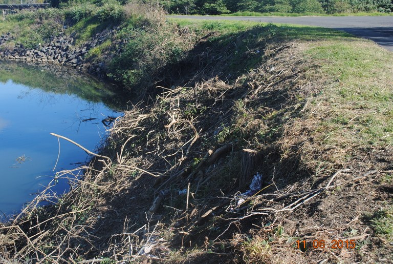 Weeds gone; ready for mulching