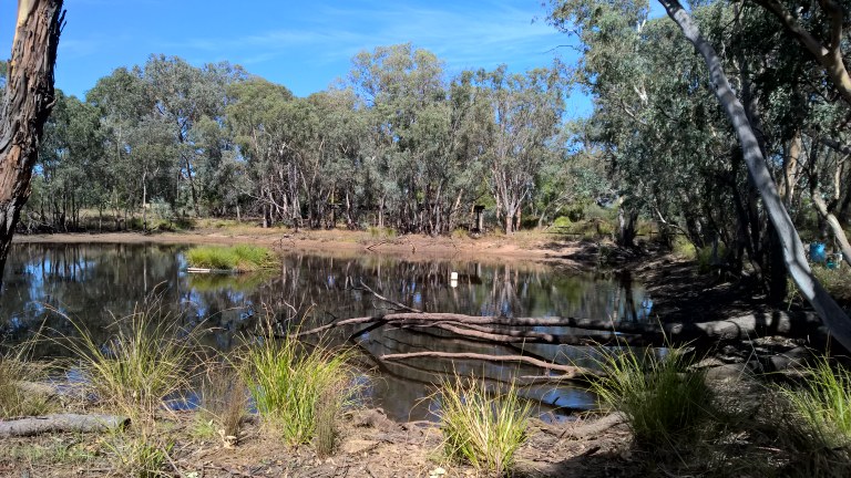 Restored wetlands and dam