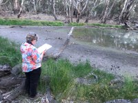 2019/20 Frog Survey - Upper section of the Yanco Creek System