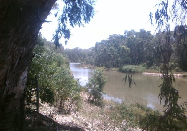 Natural beauty of the Yanco Creek System