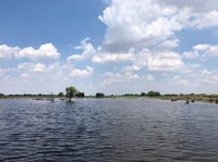 After an environmental flow Wanganella, NSW