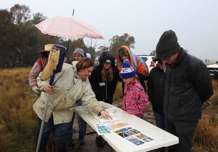 Macroinvertebrates